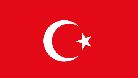 OVERSEAS BRANCHES 